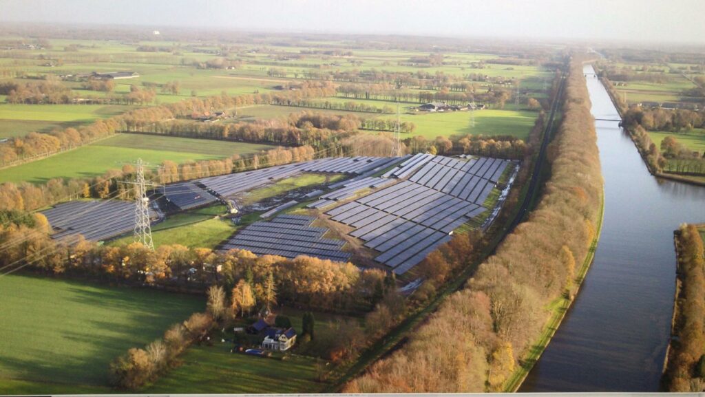 TPSolar sponsort het Zonnebloemlint voor het vergroten van de biodiversiteit in de gemeente Lochem